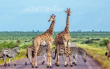 Best time to visit Africa