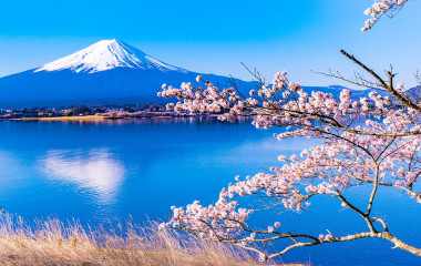 Idyllische Aufnahme vom Kawaguchi-See mit Kirschblüten und Fuji im Hintergrund, Japan