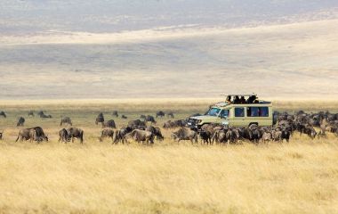 Great Migration in Tansania - Top Ten Things to do in Africa