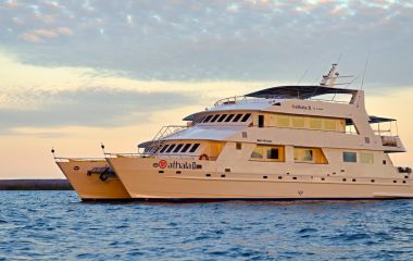 Enchanting Travels South America Tours Ecuador Galapagos Athala Cruise exterior