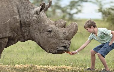 Enchanting Travels Kenya Tours
