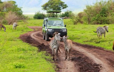 Best time to Travel to Tanzania Africa Safari tour
