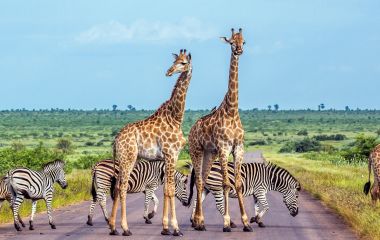 Best time to visit Africa