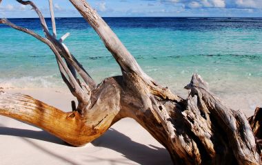 Seychelles Travel Tips