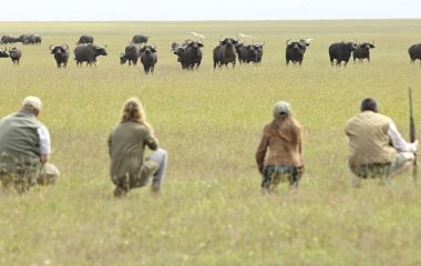OPBC-walking-safari-animals
