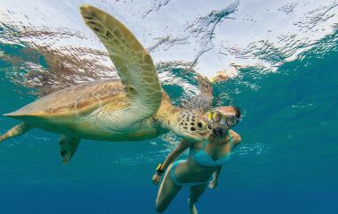 Snorkeling woman with hawksbill turtle, underwater photography
