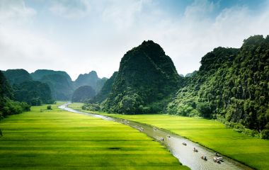 Rice field and river, Ninh Binh, vietnam landscapes