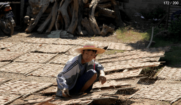 Myanmar Reisebericht - Sonnenschirmherstellung