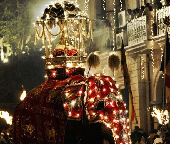 Elefantenprozession beim Kandy Perahera