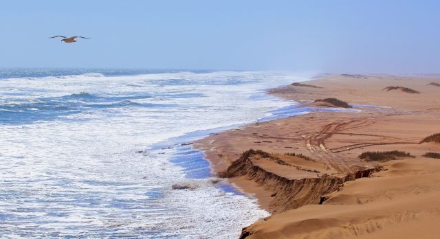Incredibly surreal Skeleton Coast