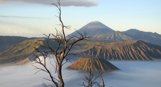 Vom Gipfel des Mount Bromo genießen Sie einen grandiosen Blick auf drei weitere Vulkane im Morgenlicht.