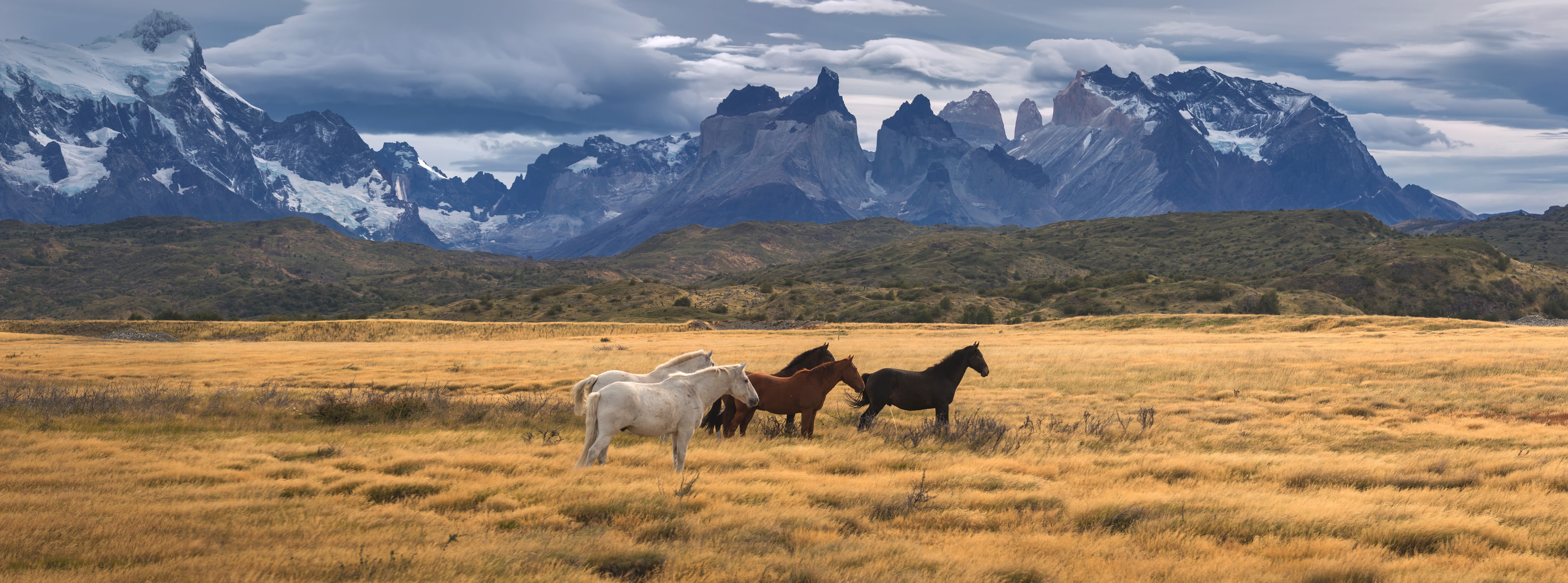 Chile Holidays | Easter Island, Desert, Wine & Patagonia 