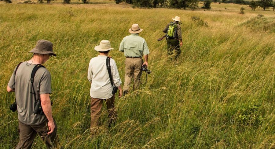 Walking Safari im Sayari Camp in der Serengeti, Tanzania
