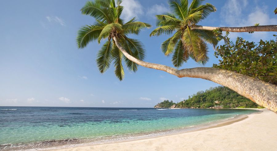 Beste Reisezeit Seychellen - tropisches Wetter, wie hier an einem Sandstrand mit Palmen