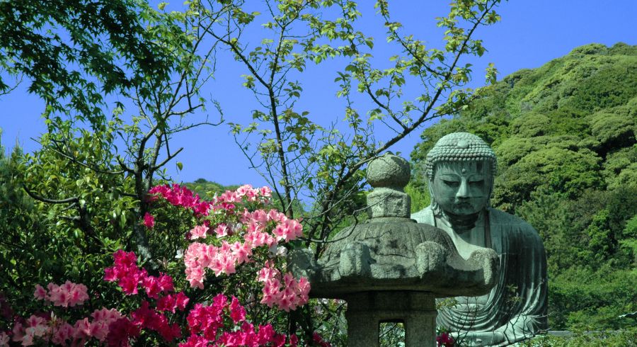 Private Japan Tours