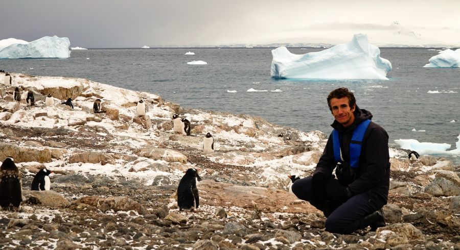 Enchanting Travels Antarctica Tours Tourist meets penguins in Antarctica
