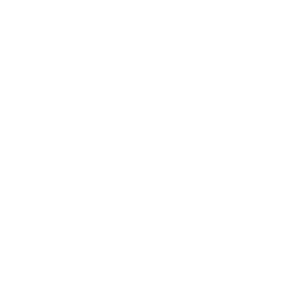 brands logo