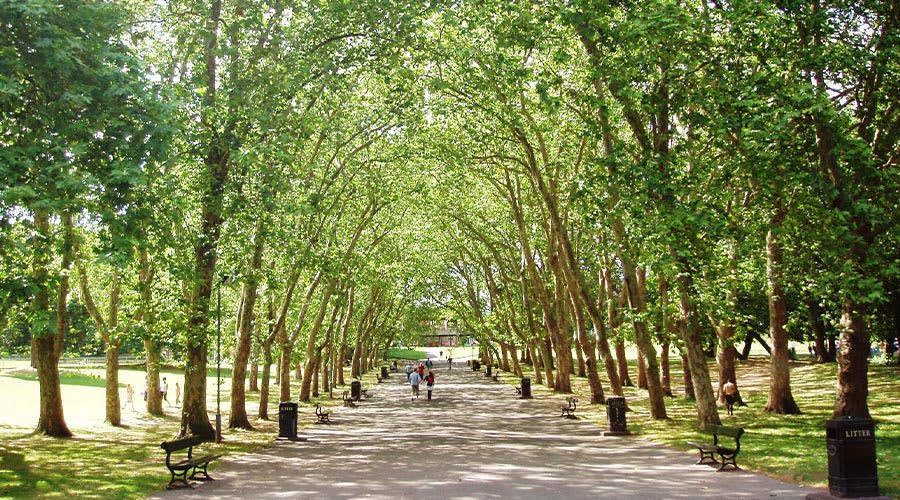 Crystal Palace Park cycle paths