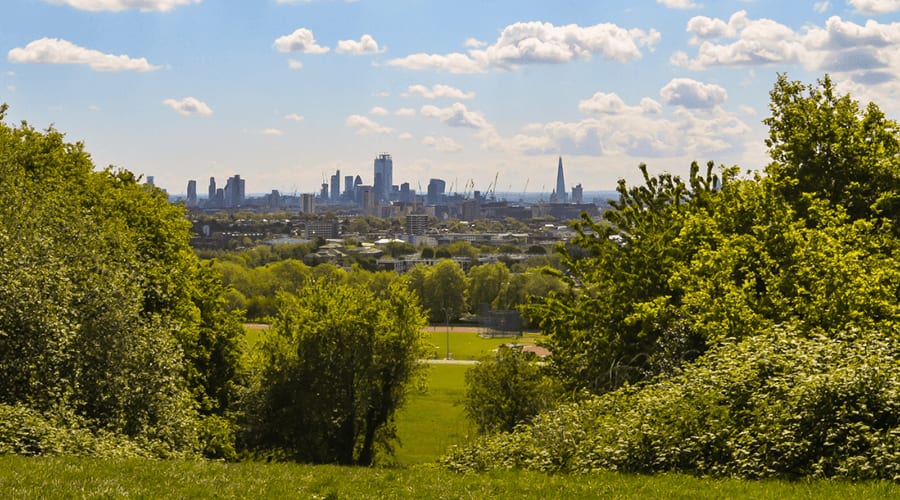 View of Hampstead Heath