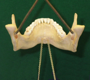 00 mdb susp cnpzwk - Eugenol