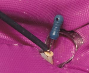02 electrode fourche lqawo8 - Eugenol