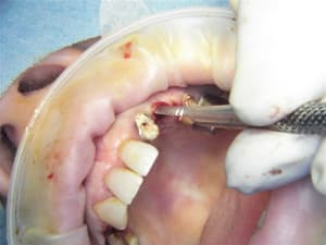 100 7737 vrpstt - Eugenol