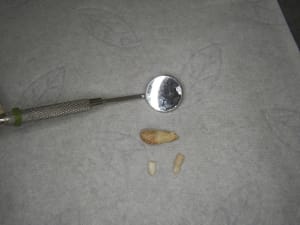 100 9350 p0pkxj - Eugenol