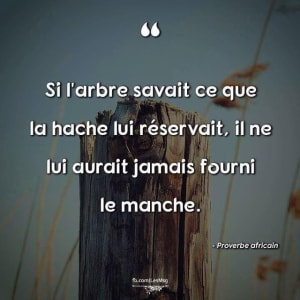 12122942 10207850672411678 4649700833492568205 n dckfyu - Eugenol