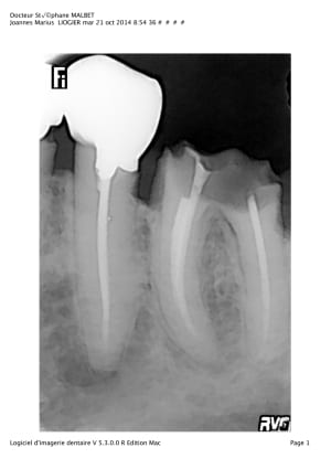 14  oya2f0 - Eugenol