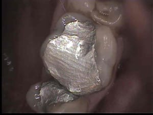 16 cam v9z2pz - Eugenol
