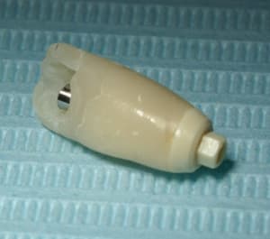 19 wsijb8 - Eugenol
