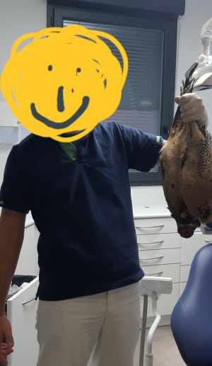 20201103 120121 xmdcui - Eugenol