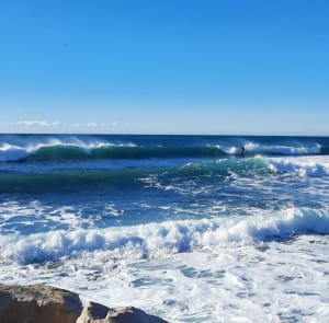 20210124 124421 yiczzh - Eugenol