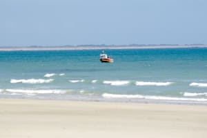 3694 600 pf78un - Eugenol