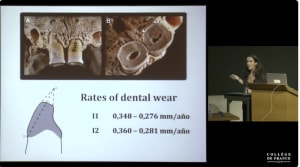 3ound6umu4z0py6spa4gsts2d9xe - Eugenol