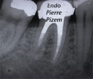 430646f jeedtt - Eugenol