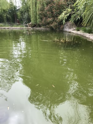 43f352db ddc9 45db 8ee4 104caea3f116 djbgym - Eugenol