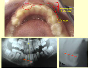 43 sol 2 wmww2y - Eugenol