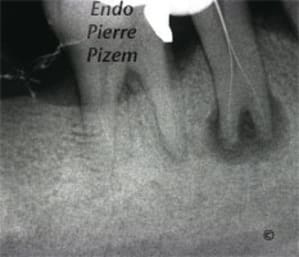 487445b uqqcqz - Eugenol