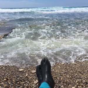 4fad29f0 4c74 4844 bafe 316b832aaa5d vbqvgo - Eugenol