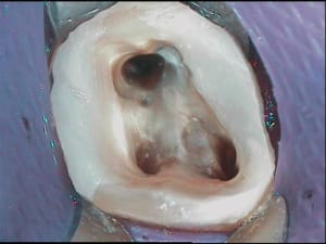 4 ktweqm - Eugenol