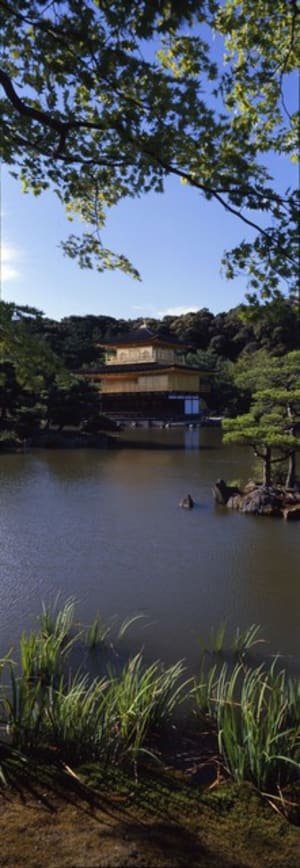 617 2008 08 kyoto pavillon or u5vgaa - Eugenol