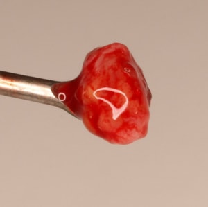 6 extraction  2  emc1ud - Eugenol