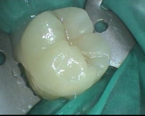 7 anrob7 - Eugenol