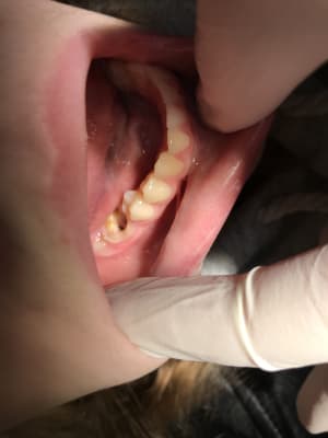 846dab0d d28e 43f2 8182 f96c962b3efc xvvx2f - Eugenol