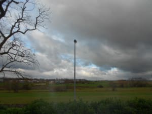 Averse tnivql - Eugenol