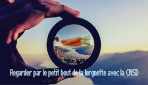 Cnsd carrotte mljv3o - Eugenol