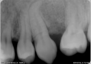 Canine fr0kru - Eugenol