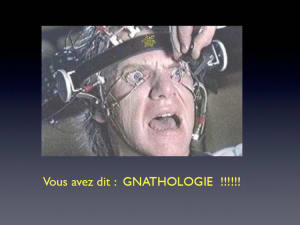 Capture d  cran 27 02 13 20 35 c9qo0w - Eugenol