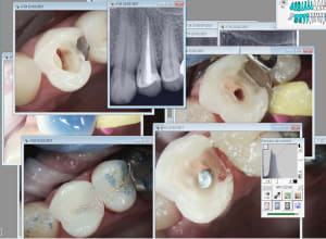 Capture d écran 2017 02 23 21.00 - Eugenol